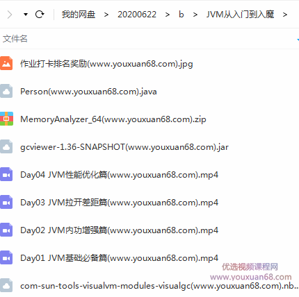 JVM从入门到入魔 java架构师VIP课程插图