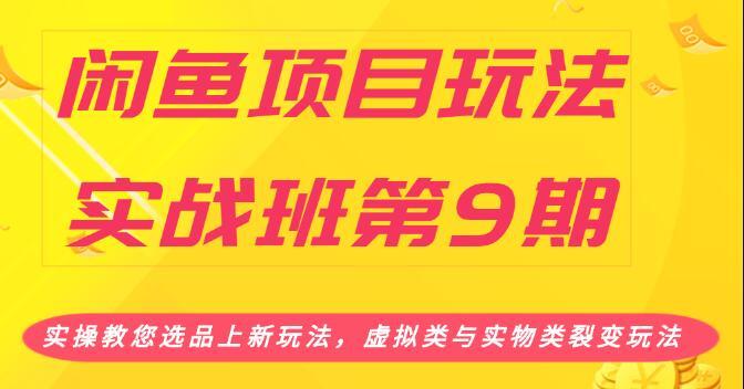 闲鱼项目玩法实战班（一）实操教您选品上新玩法，虚拟类与实物类裂变玩...插图