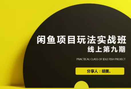 闲鱼项目玩法第9期蓝海营销项目，从0到1实操教您如何批量化去玩（完整...插图