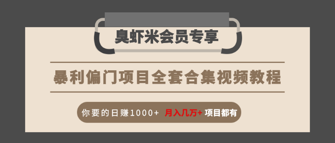 暴利偏门项目全套合集视频教程：你要的日赚1000+月入几万+项目都有插图