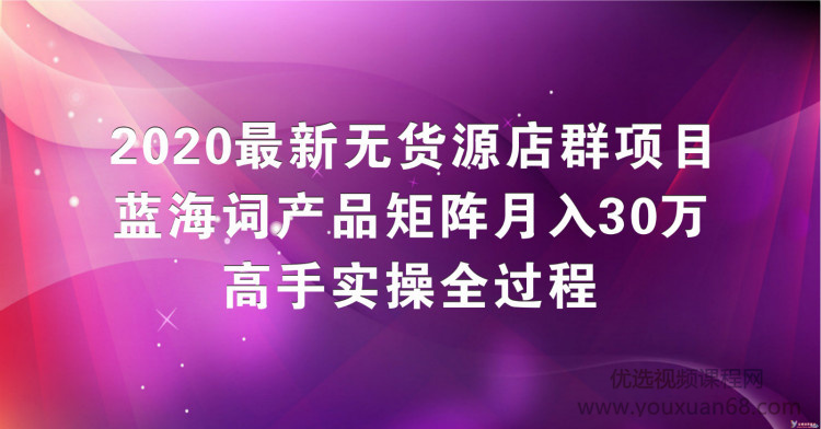 2020最新无货源店群项目，蓝海词产品矩阵月入30万，高手实操全过程（视...插图