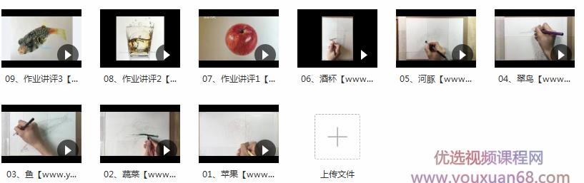 超写实的彩铅静物动物画视频_彩铅手绘超写实(9讲)插图
