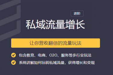 2020私域流量增长进阶让你营收翻倍的流量课程插图