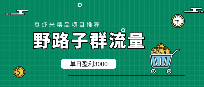 野路子群流量项目：稳定之后可实现日盈利3000-5000，轻松实现月入3万+...插图