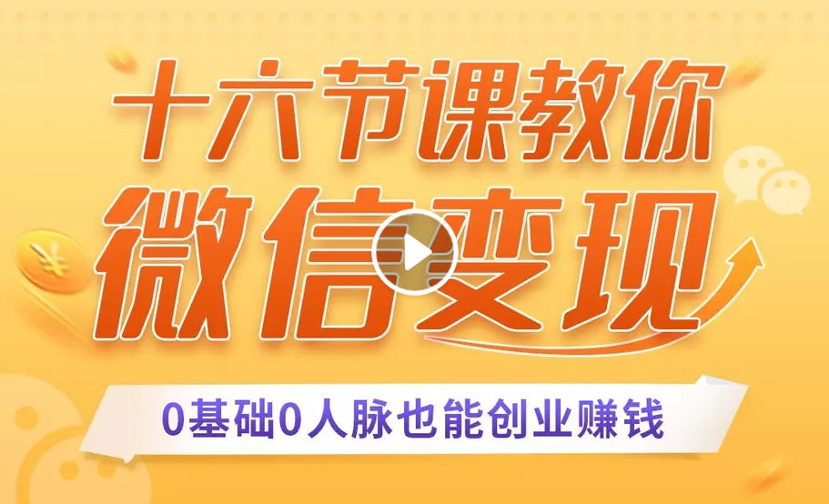 十六节课教你零基础微信变现，用单品打爆市场，0基础0人脉创业赚钱插图