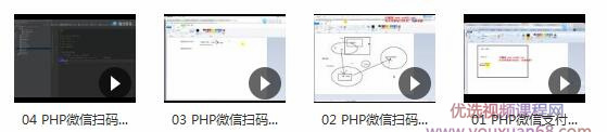 微信扫码支付系列课，支付接口接入必备技术，实现在线自动化收款（5节课）

<h3 title=