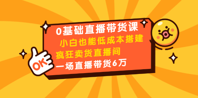 媒老板0基础直播带货课：小白也能低成本搭建疯狂卖货直播间：1场直播带...插图