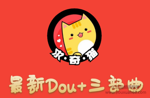 求奇猫 最新DOU+三部曲，逆向思维选择商品+包装产品+简单起号（课程+素...插图