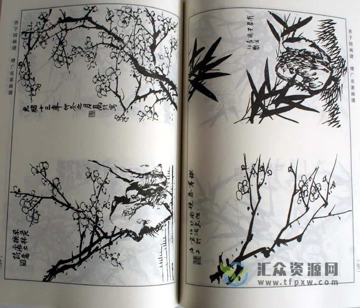 芥子园《画谱技法第二辑：兰竹梅菊》视频讲座16讲插图