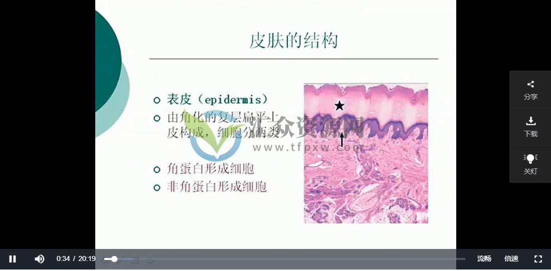 整形+美容+皮肤管理全套视频课程插图1