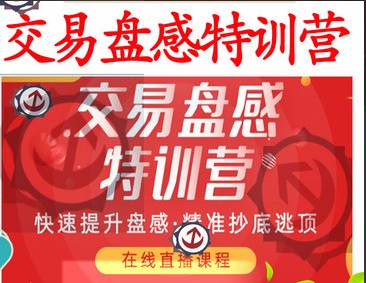 【无为投资】无为战法之《交易盘感特训营》第237期插图