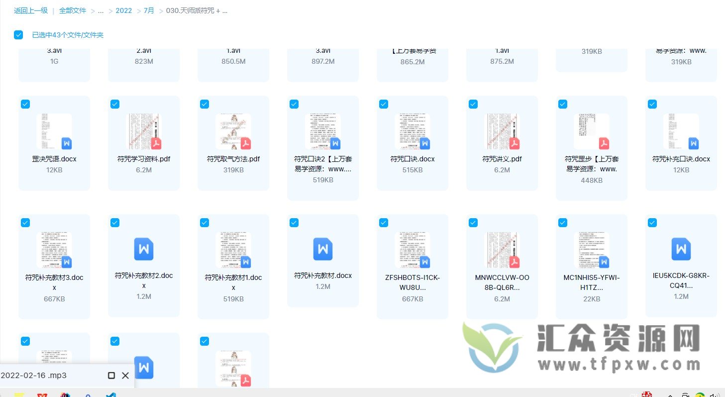 天师派符咒 + 符箓（视频+文档资料）插图3