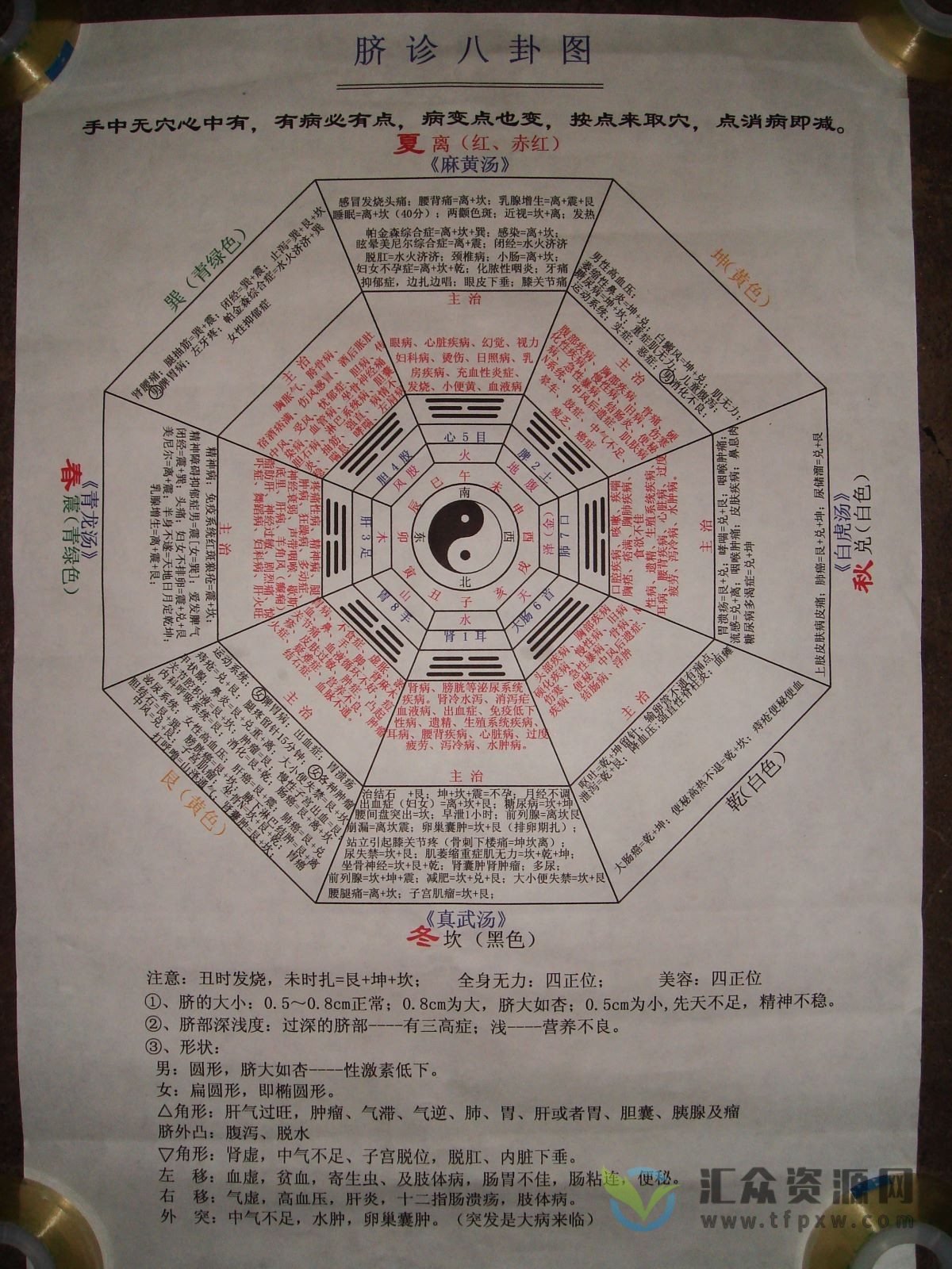 齐永脐针疗法初级班+中级班+高级班多套课程合集（附文档）插图2