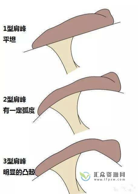 三合至道~肩峰撞击综合症康复矫正插图1