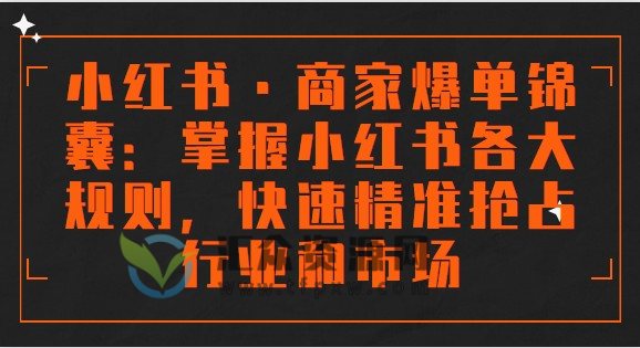 《小红书·商家爆单锦囊》掌握小红书各大规则，快速精准抢占行业和市场插图