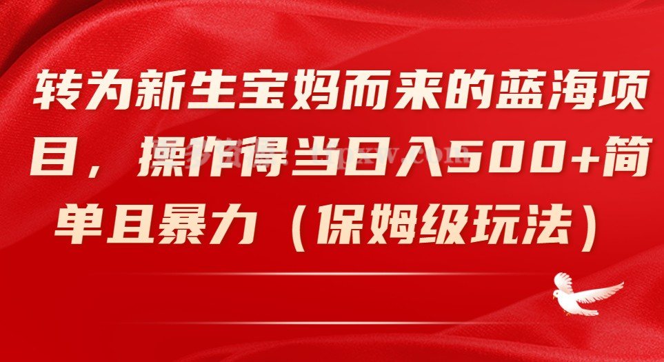 转为新生宝妈而来的蓝海项目，操作得当日入500+简单且暴力（保姆级玩法）插图