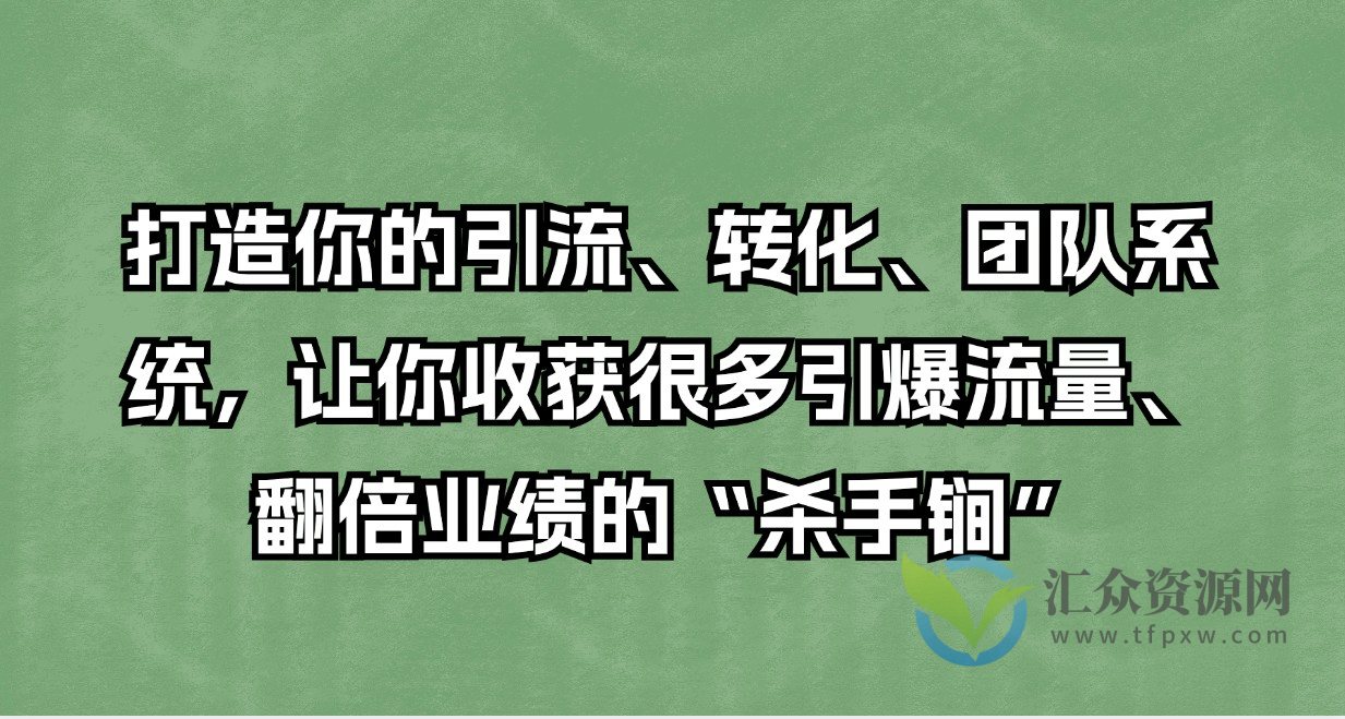 打造你的引流、转化、团队系统，让你收获很多引爆流量、翻倍业绩的“杀手锏”插图