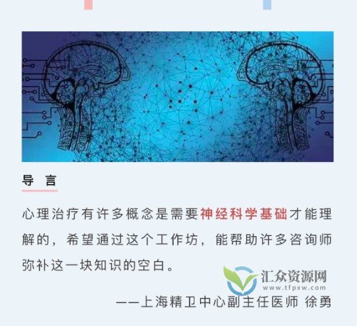 徐勇：神经科学视角下的心理治疗插图